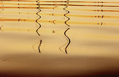 
                    "Cello Music" This photograph is the reflection of large boat masts on the water around Martha's Vineyard.  When looking at it, photographer Marcia Smilack hears cello music.  And when the picture is turned upside down, she hears violins.
                                            (Marcia Smilack)
                                        