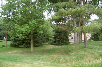 
                    The Smith Homestead 1855 in Golden Valley, Minn.
                                            (Rich Peet)
                                        