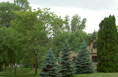 
                    The Smith Homestead 1855 in Golden Valley, Minn.
                                            (Rich Peet)
                                        