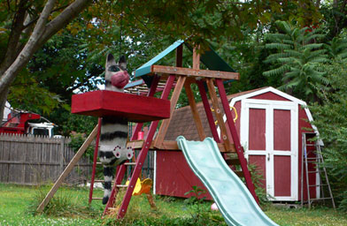 
                    Stephen Vitiello's backyard in Richmond, Va.
                                            (Stephen Vitiello)
                                        