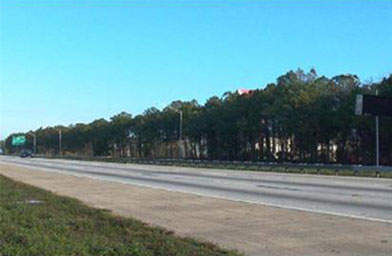 
                    A photo taken along the I-95 in Jacksonville, Fla.
                                            (Bill Brinton)
                                        