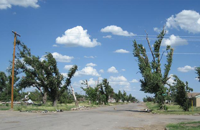 
                    Here is another neighborhood street where homes used to be.
                                            (Jon Cyphers)
                                        