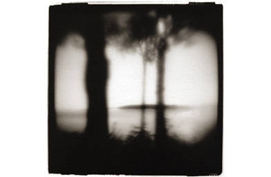 
                    Photo by Jerry Cargill of Palatine, Ill. Camera: Holga Camera.
                                            (Soho Photo)
                                        