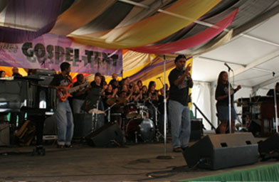 
                    Michael Harris plays with a band at a concert.
                                            (Michael Harris)
                                        