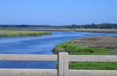 
                    The tidal canals of coastal Georgia.
                                            (Kelly McEvers)
                                        