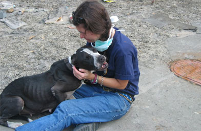 
                    Salk and Sweetie meet for the first time, and the bond is made.
                                            (Pia Salk)
                                        