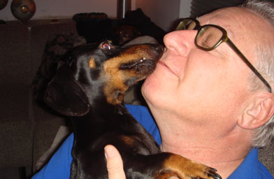 
                    Jacarandamusic concert producer Patrick Scott shares a moment with his dachshund Dobie.
                                            (Patrick Scott)
                                        
