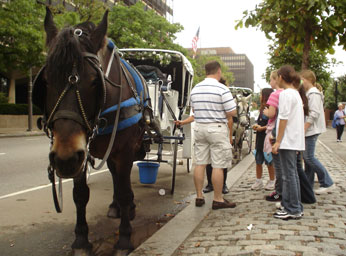 
                    Horse-and-carriage guides on Independence Mall in downtown Philadelphia.
                                            (Peter Crimmins)
                                        