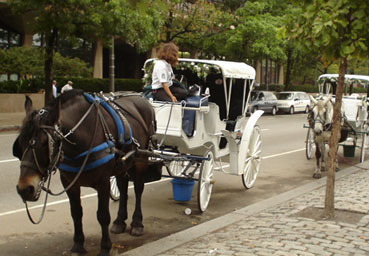 
                    Horse-and-carriage guides on Independence Mall in downtown Philadelphia await tourists.
                                            (Peter Crimmins)
                                        