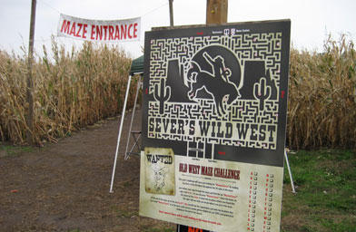 
                    Sever's Maze originally started 11 years ago with just a corn maze and a concession stand. Today, it hosts several vendors, corn pit, petting zoo and shows for families. Each year there's a new theme for the maze. This year, it's a western theme that a patron from last year submitted.
                                            (Angela Kim)
                                        