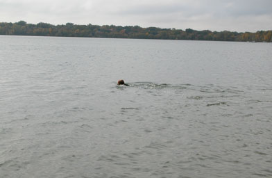 
                    Nanci swimming in Lake Harriet.
                                            (Sasha Aslanian)
                                        