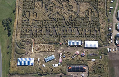 
                    This aerial photo of the corn maze was taken after winds up to 70mph swept through the area.
                                            (Photo Courtesy of Nicola Peterson)
                                        