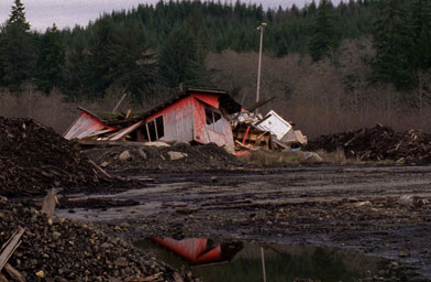 
                    A collapsed building at an abandoned lumber mill near Aberdeen, Wash. Filmed in November 2005.
                                            (Wyatt Troll, Courtesy: Balcony Releasing)
                                        