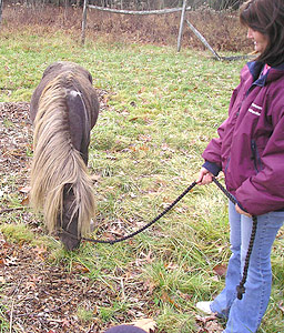 
                    Pam Lupo, owner of North Gate Farm in Sudbury, Mass., with her littlest horse Glow-E. Glow-E is a stud.
                                            (Sean Cole)
                                        