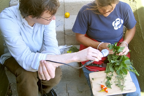 
                    Sitting on some neighborhood steps, making a foraged salad.
                                            (Suzie Lechtenberg)
                                        