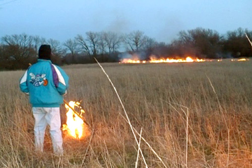 
                    A little patch of fire will soon be a raging prairie fire.
                                            (Sylvia Gross)
                                        