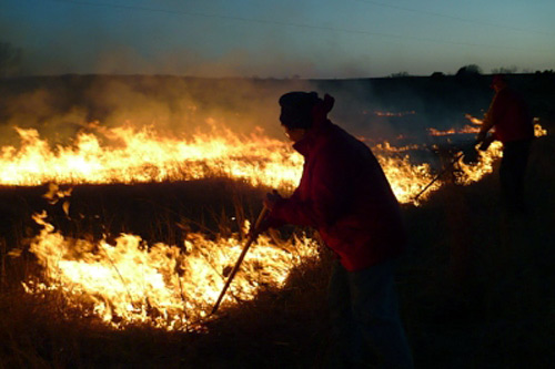 
                    Jerry Estep tends her fire.
                                            (Sylvia Gross)
                                        