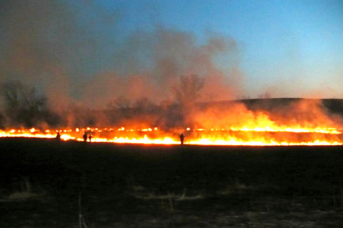 
                    Nightfall over burning grass.
                                            (Sylvia Gross)
                                        