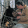 Ben Kilham plays with a young black bear cub