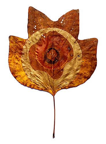 
                    Tulip leaf print
                                            (Jessica Baker)
                                        