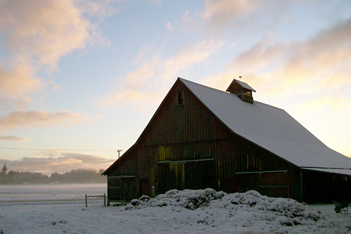 
                    A picture of the historic barn on Brad and Meg Gregory's sheep farm in Chehalis Valley, Wash., before the farm was nearly devastated by floodwaters in December 2007. The barn is still standing today.
                                            (Courtesy Black Sheep Creamery)
                                        