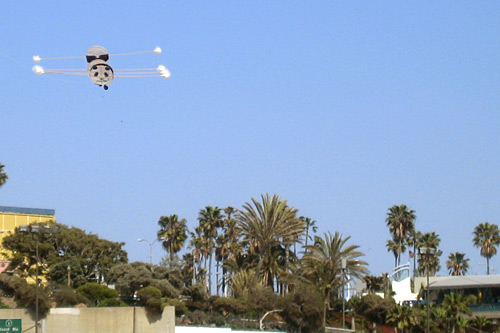 
                    The panda kite aloft. Wong designed its legs to look like it is running while in the air. This was a huge crowd pleaser.
                                            (Krissy Clark)
                                        