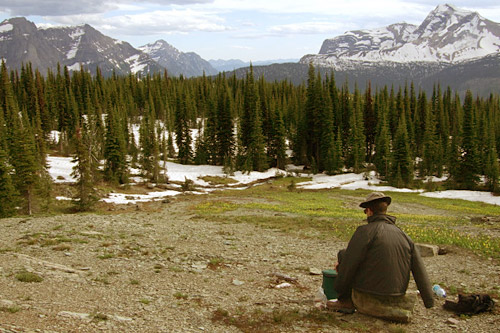 
                    A clearing near the Granite Park campground.
                                            (Rachel Proctor May)
                                        