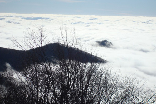 
                    Above the clouds on the Smokey Mountain Scenic Highway.
                                            (Mark Delmonte)
                                        