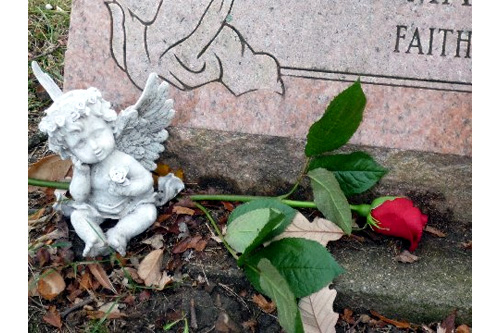 
                    A rose on Dawn's grave.
                                            (Desiree Cooper)
                                        