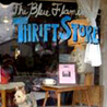 The Blue Flamingo Thrift Store