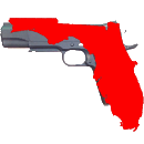 Florida Gun Legislation