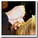 Lice